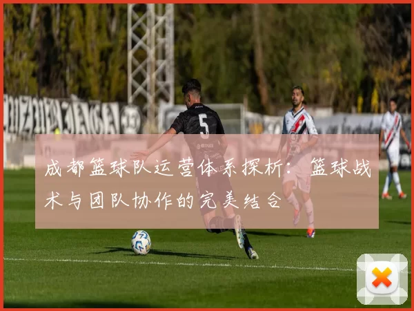 成都篮球队运营体系探析：篮球战术与团队协作的完美结合