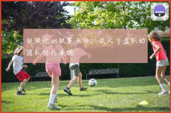 极限运动联赛点评：武汉飞盘队的团队协作表现