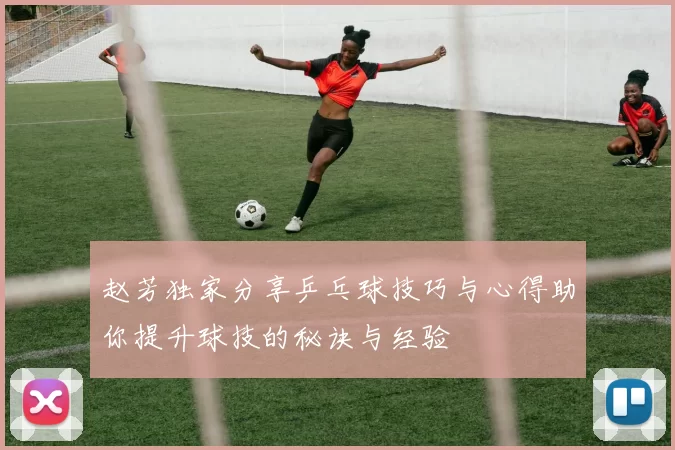 赵芳独家分享乒乓球技巧与心得助你提升球技的秘诀与经验